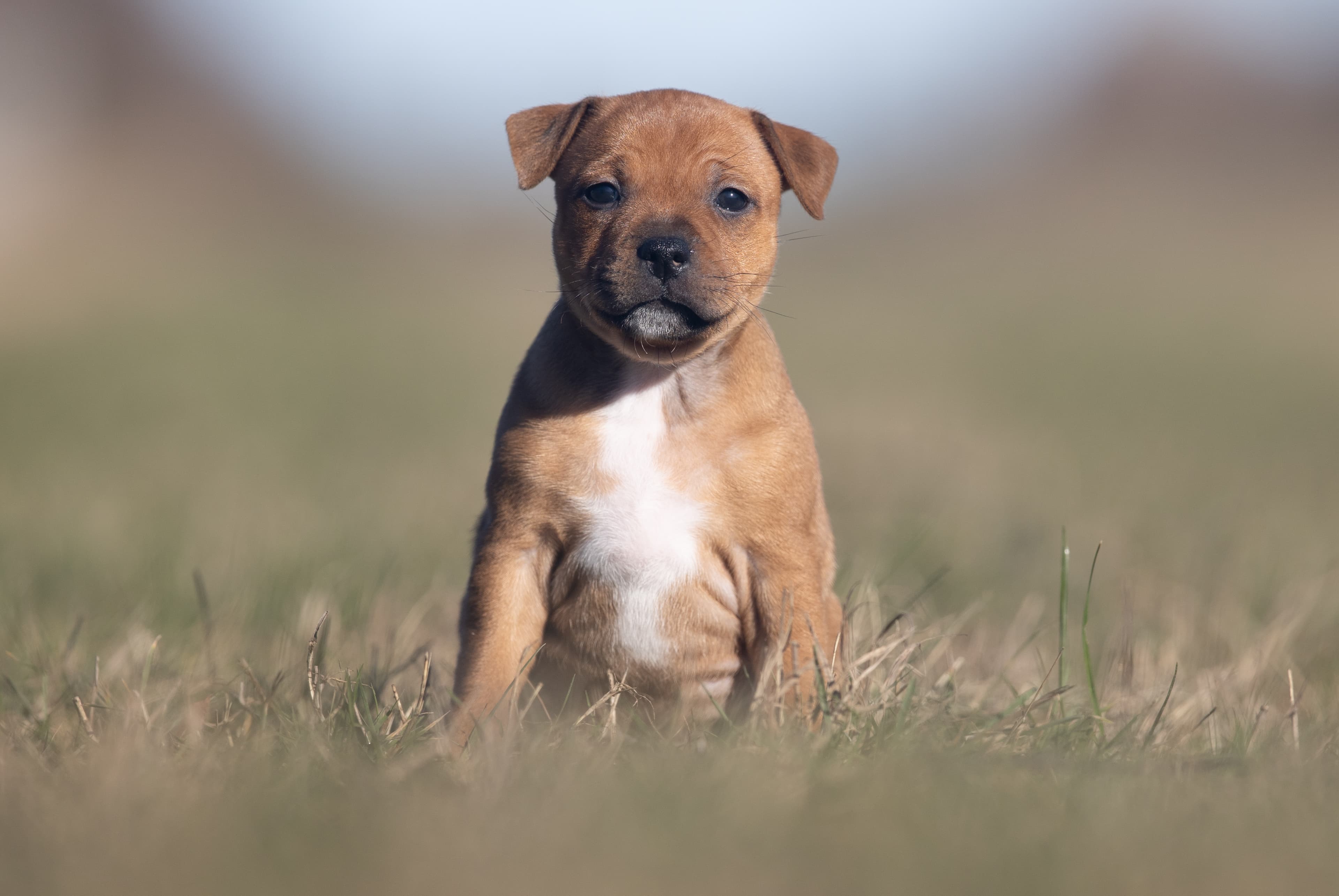 Coco’s 1 kuld - Billede 12