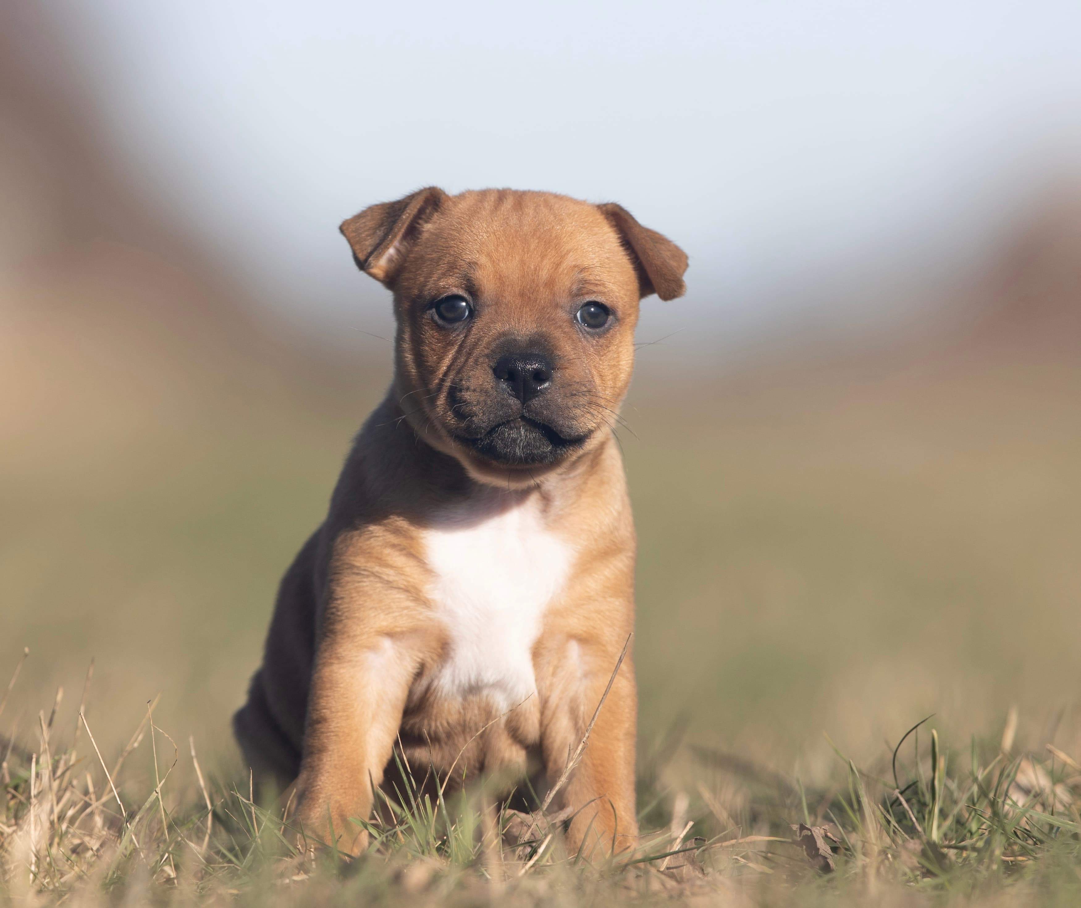 Coco’s 1 kuld - Billede 5