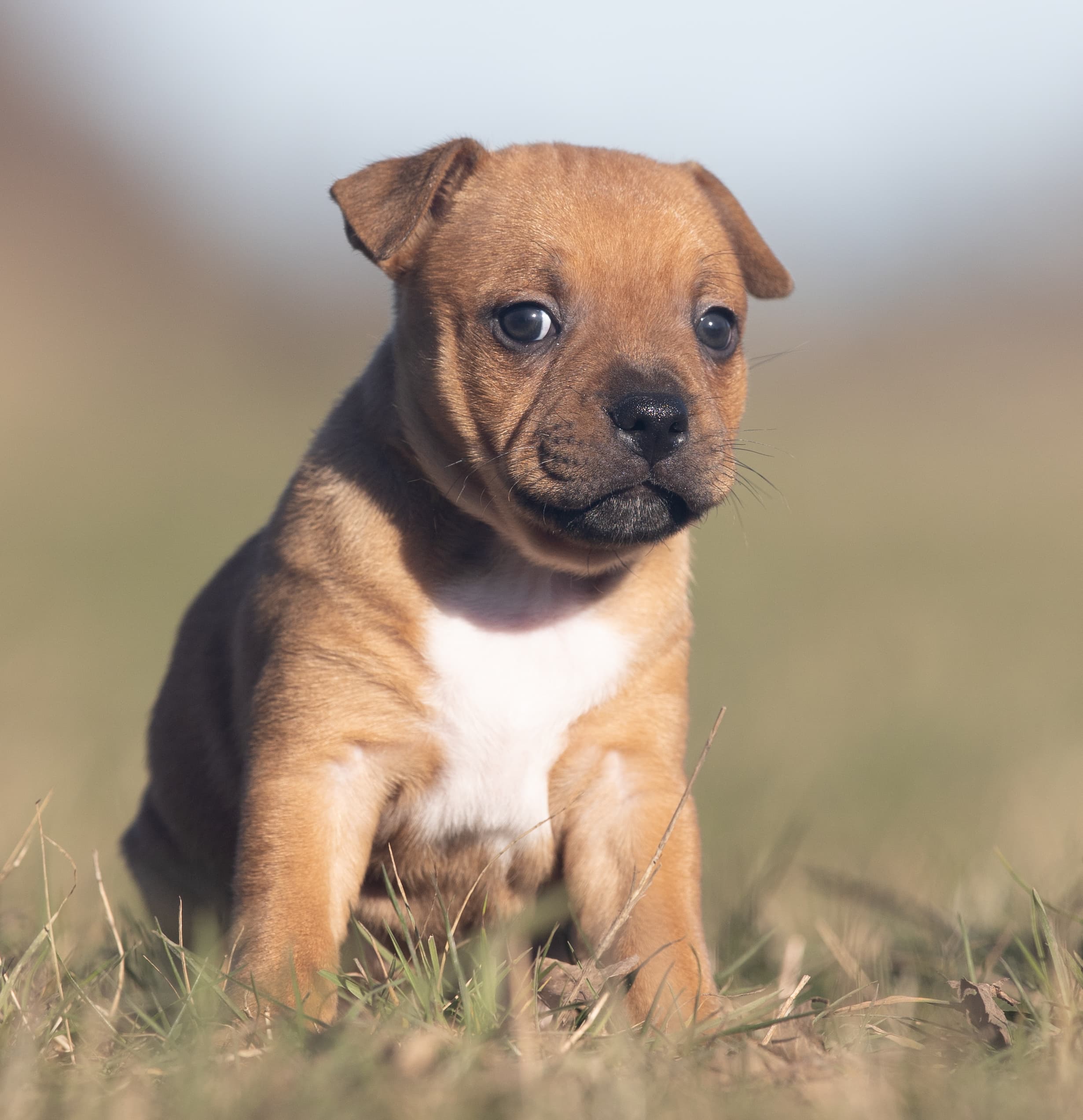 Coco’s 1 kuld - Billede 8