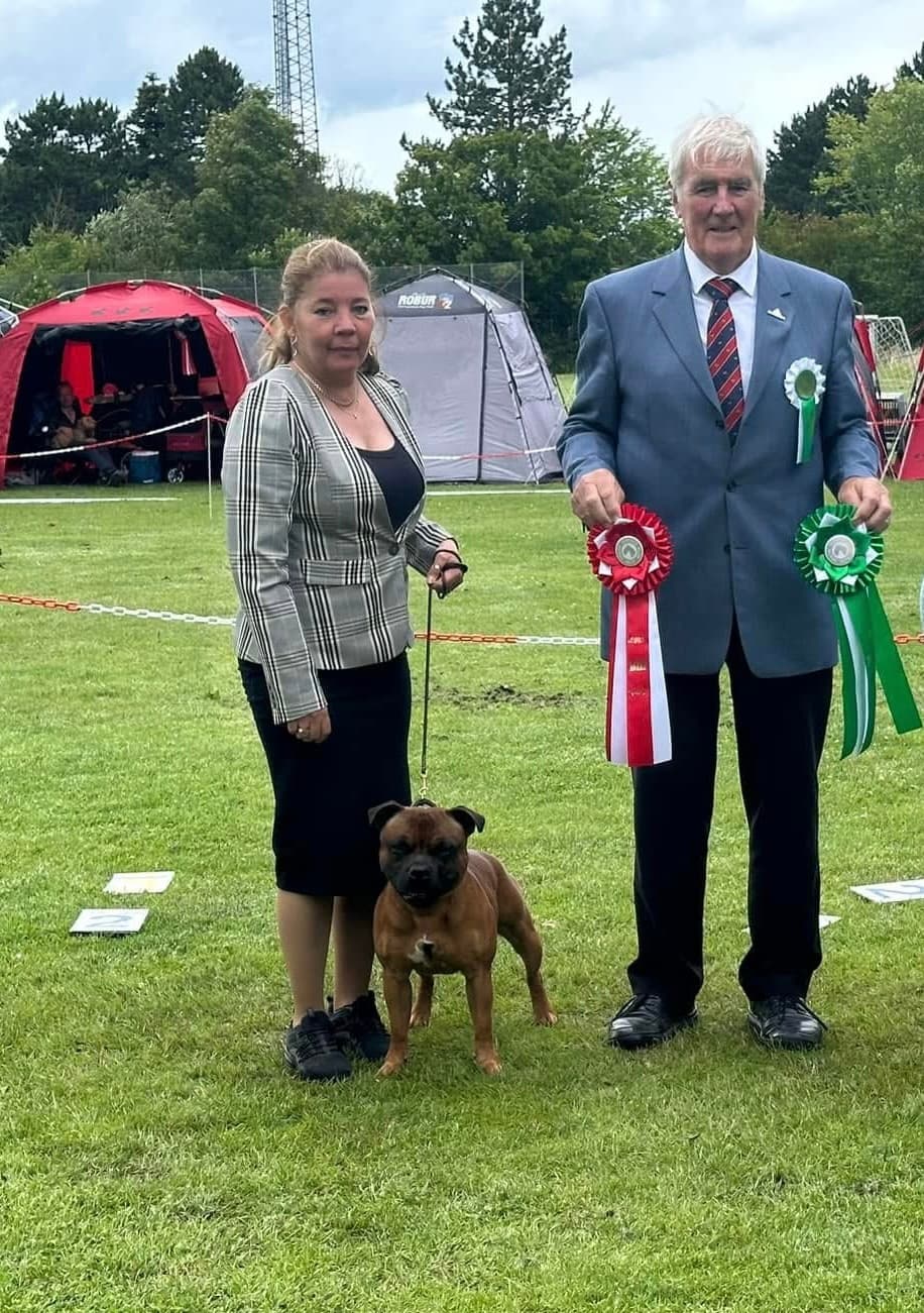 Dansk Terrier Klub
dag 1.🇩🇰
Dyhrberg-Kleven Follow My Shadow 💙
⭐️💥⭐️Dansk Champion ⭐️💥⭐️
EXC.ÅK PLAC.1 CK 1.BHK CERT BIR 💪🤩BIS.3 🤩💪
Jeg er så beæret og stolt over at vi er blivet anerkendt som opdrætter i dag og fået vandrepokalen
🏆 Å𝑹𝑬𝑻𝑺 𝑩𝑬𝑫𝑺𝑻𝑬 𝑫𝑨𝑵𝑺𝑲 𝑶𝑷𝑫𝑹Æ𝑻𝑻𝑬𝑻 𝑯𝑨𝑵 🏆
Tusinde tak til Race specialist dommer Tom Hehir & Helena Quigg 🙏 for at værdsætte vores dreng, jeg er meget taknemmelig
