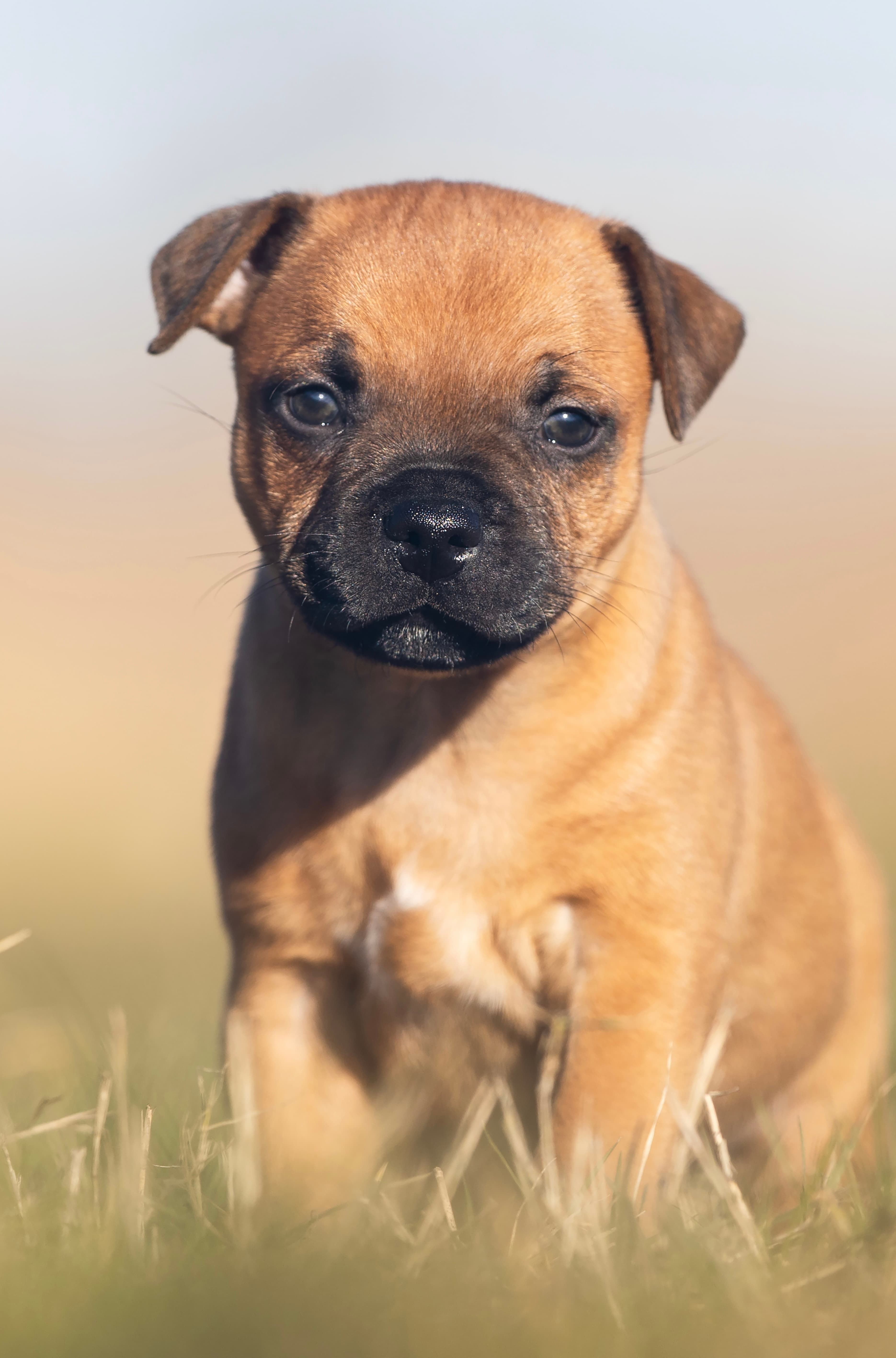 Coco’s 1 kuld - Billede 3