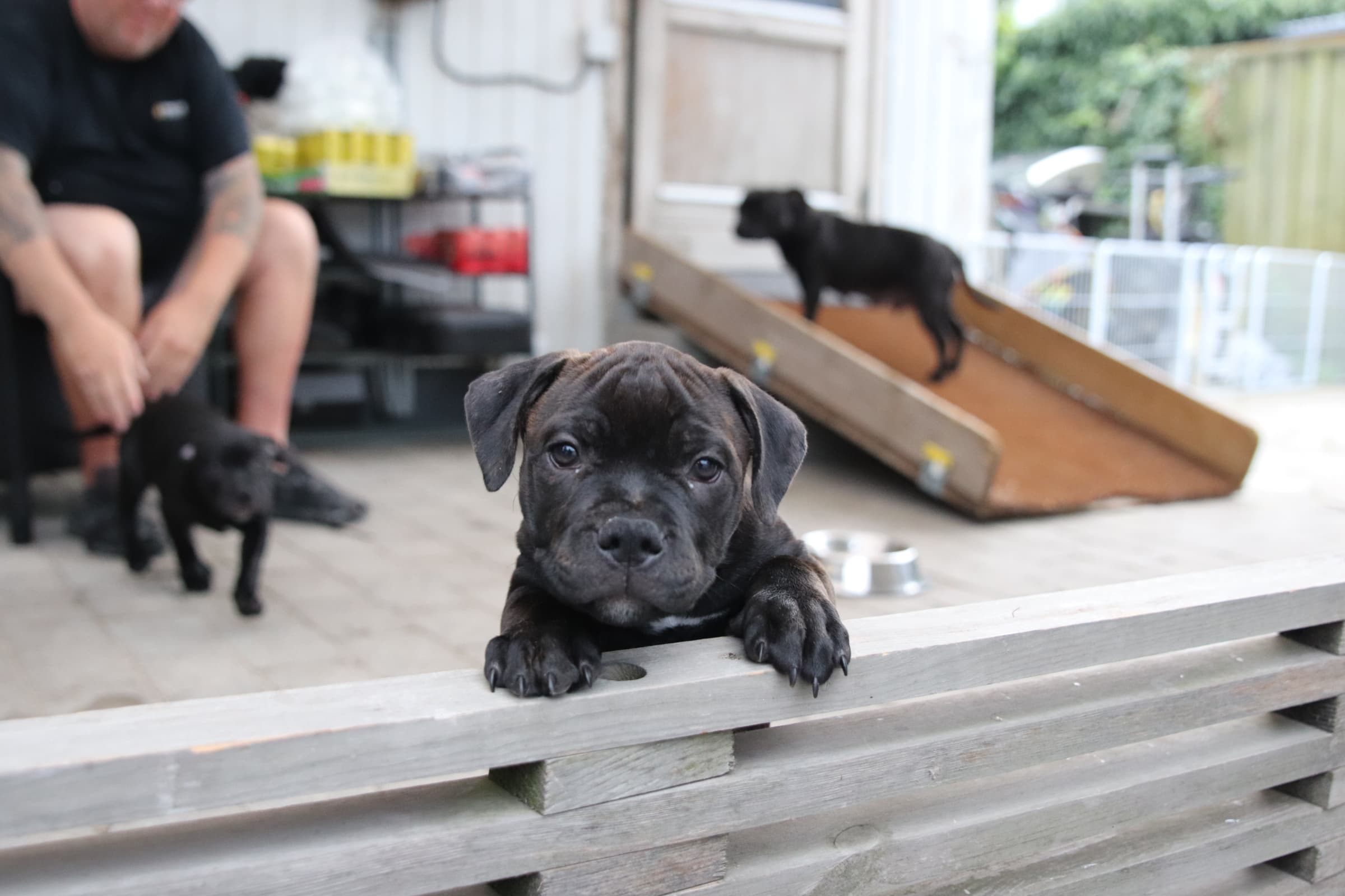 Coco’s 2 kuld - Billede 14